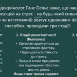 photo_5318841998942866784_y